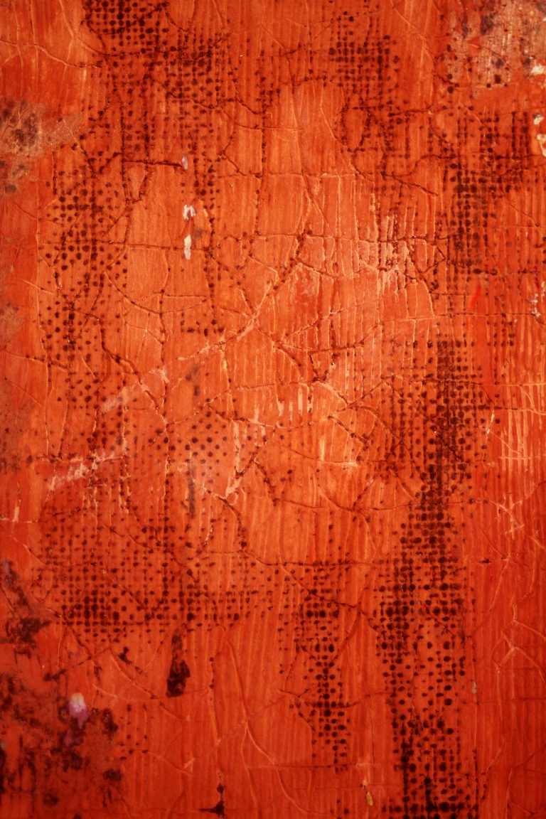 Due to simulative causes by Alejandra Oliva & Manuel Lugo