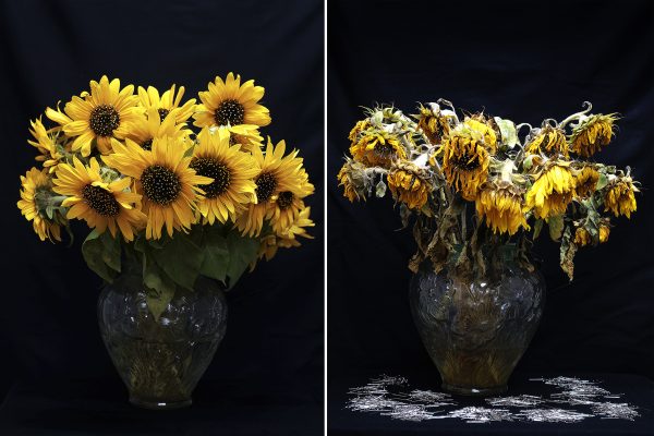 Diptych: Sunflower by Van Gogh
