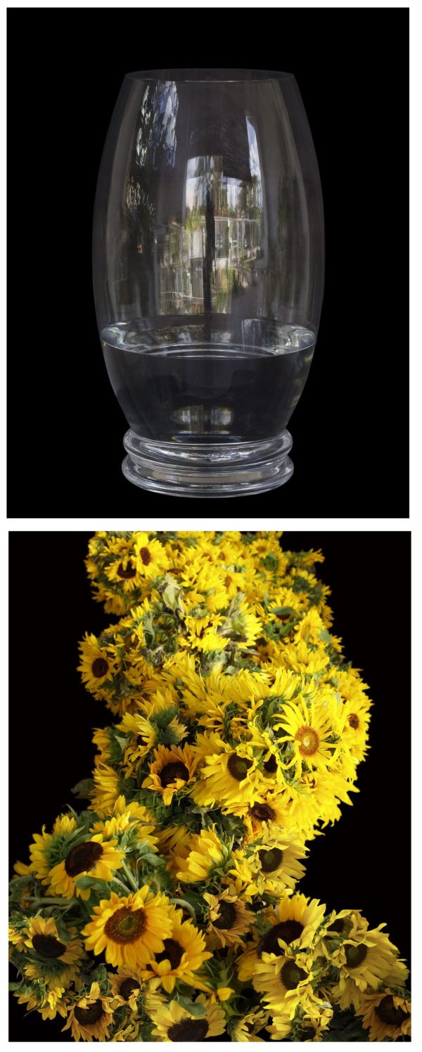 Diptych: When the flowers became so strong that they supported the weight of the vase