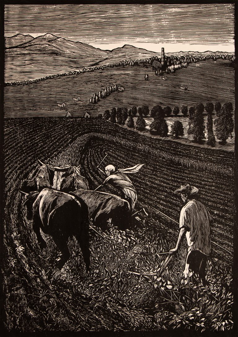 Commentary by Marcel Molina