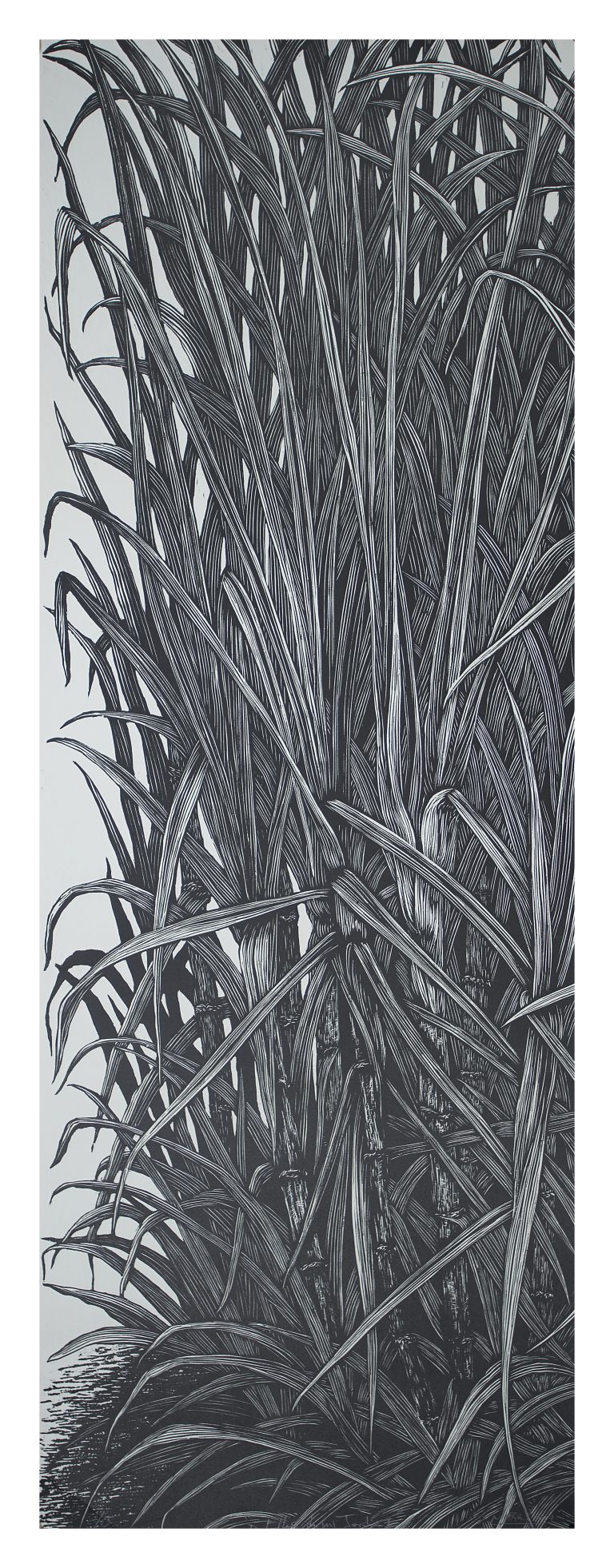 Details of my garden I by Marcel Molina