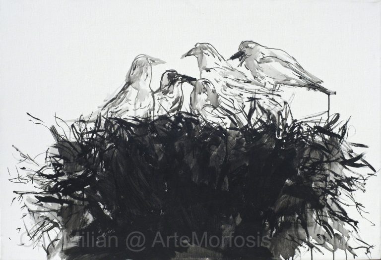 Birds by Osy Milian