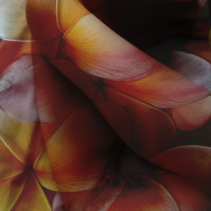 Group Exhibition – Signs of an Expanded Femininity