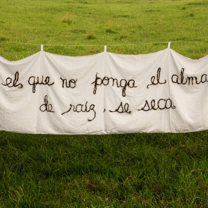 Nadia Díaz – Línea de vida