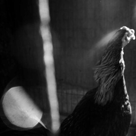 Lien Villavicencio Cabrera