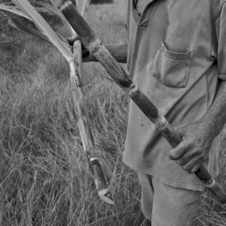 Leidy Castellanos Moreno