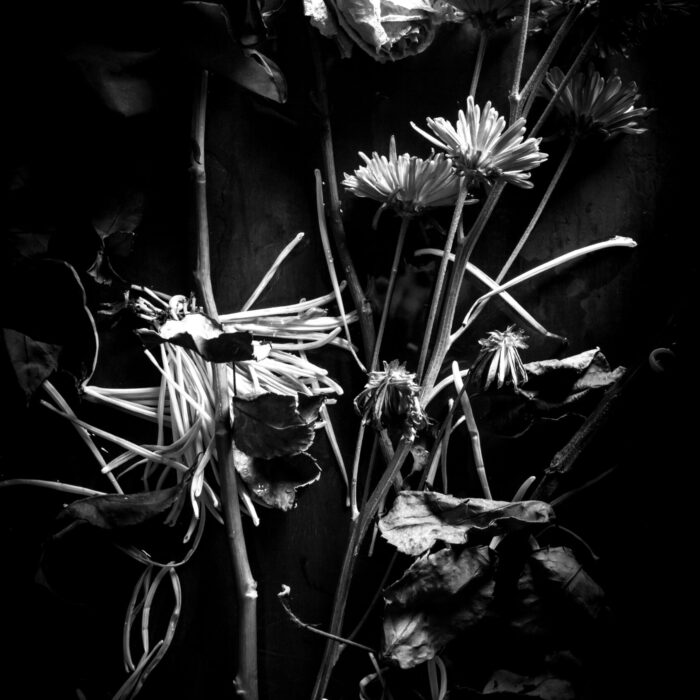 Karla González Horta – Herejía a una isla