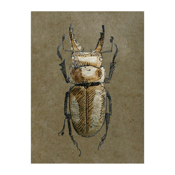 Prelude #0035 Rhaetulus didieri