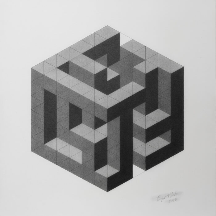 Roger Toledo – Perspective