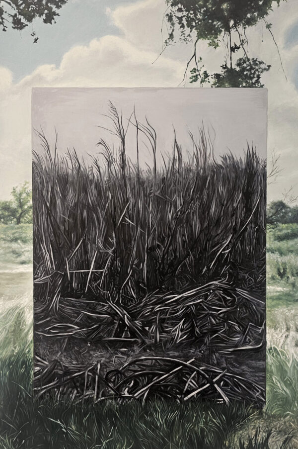 False Landscapes III