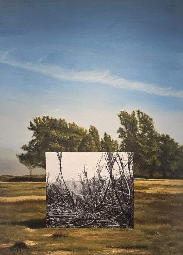 False Landscapes I