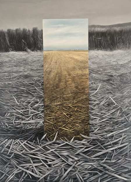 False Landscapes II
