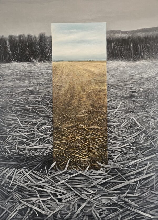 False Landscapes II