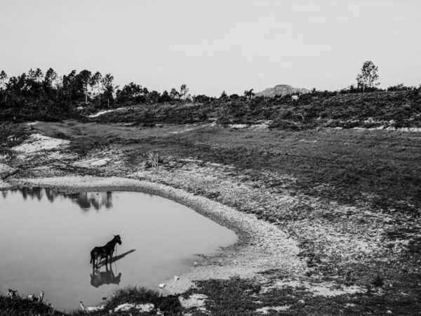Landschaft 1