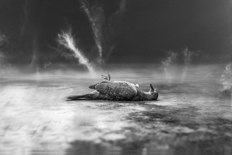 From the Limbo series #3 by Yordan Duke