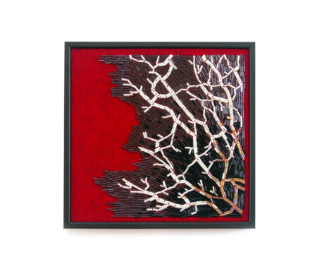 Sea fans