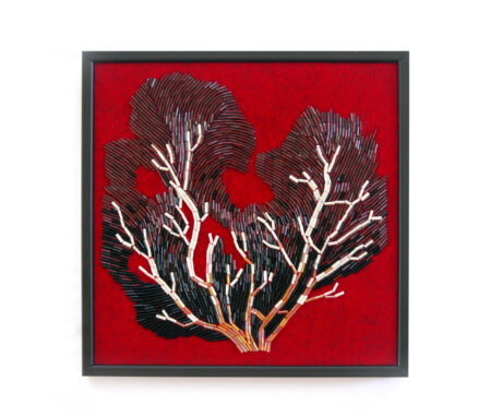 Sea fans