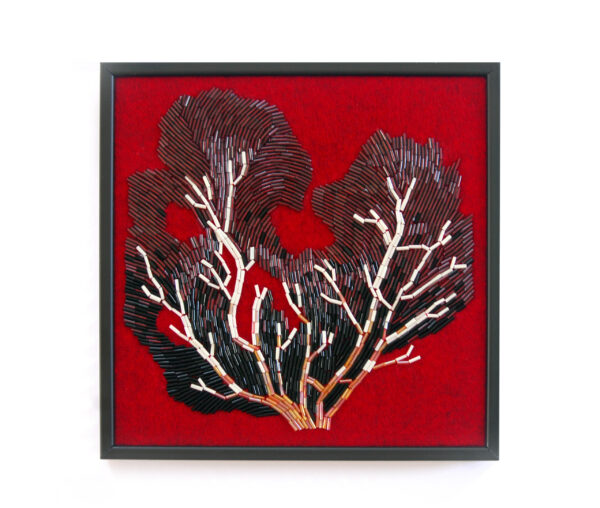 Sea fans